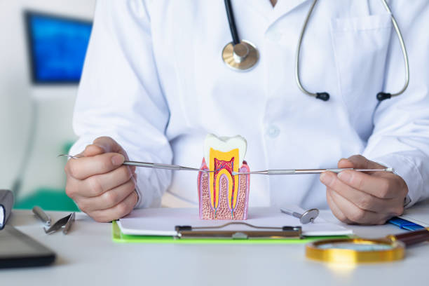 Best Dental Abscess Treatment in Callahan, FL